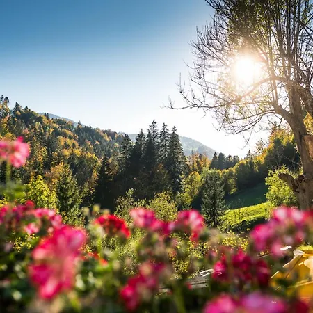 Bad Rain Hotel Oberstaufen