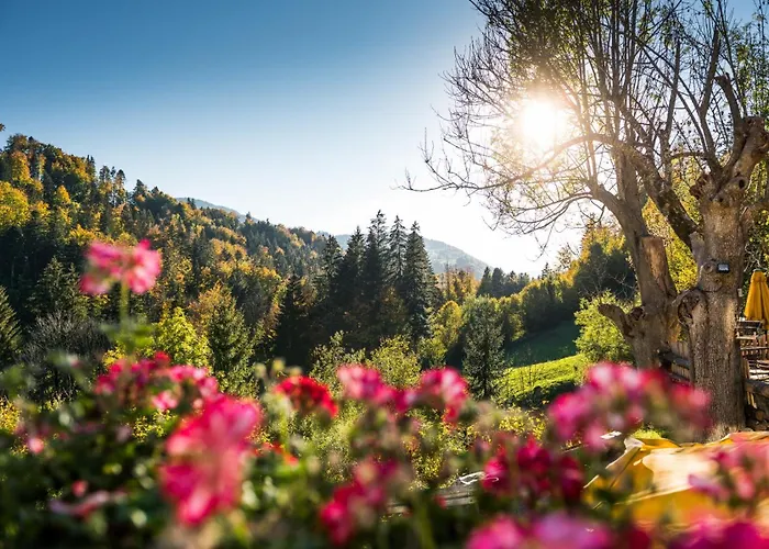 Bad Rain Hotel Oberstaufen