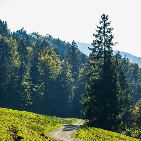 Bad Rain Mit Plusgolf Ξενοδοχείο Oberstaufen