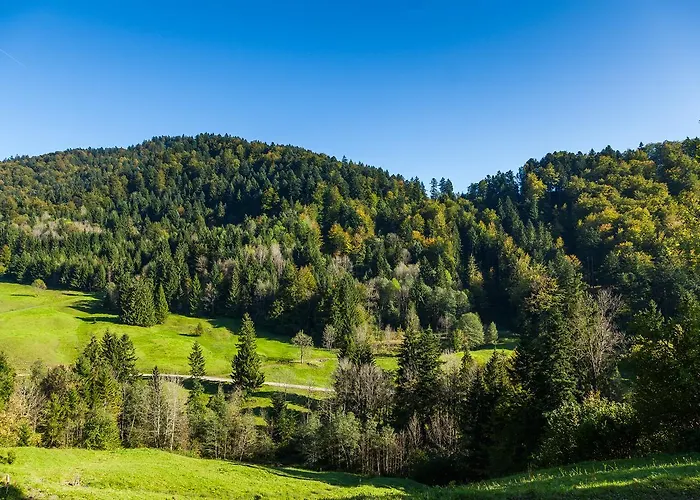 Hotel Bad Rain Mit Plusgolf Oberstaufen